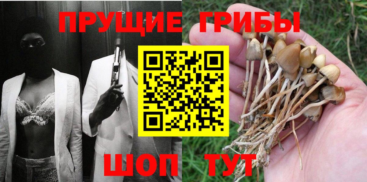 Сергиев Посад  купить наркотики сайты  Псилоцибиновые грибы MAGIC MUSHROOMS  Вход с VPN  Галлюциногенные грибы ЛСД 